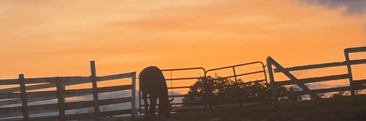 HDW 🌚🤙🏻 banner