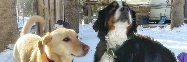 bobrodkin Profile Banner