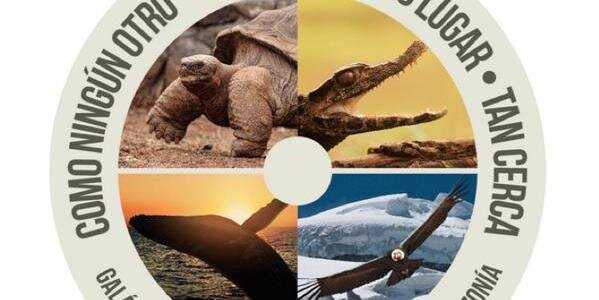 Rolando0033's profile banner image