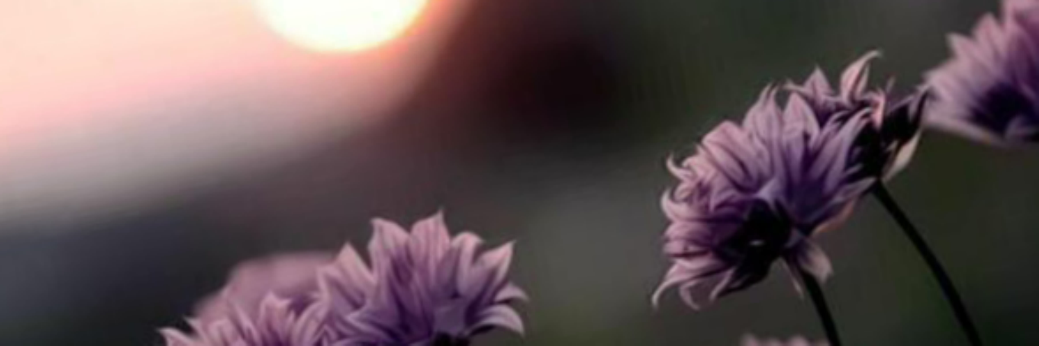 to0o7a_1000's profile banner image