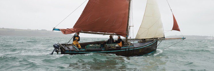 Fal Oyster Ltd. banner