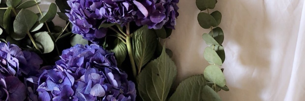 tala1409's profile banner image