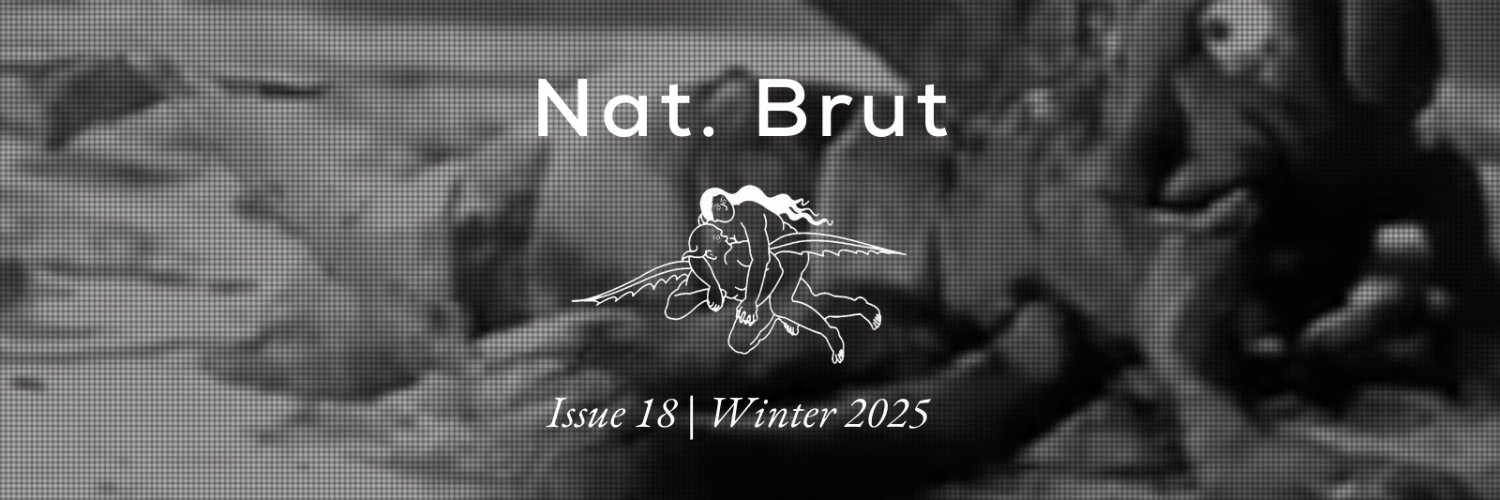 NatBrut's profile banner image