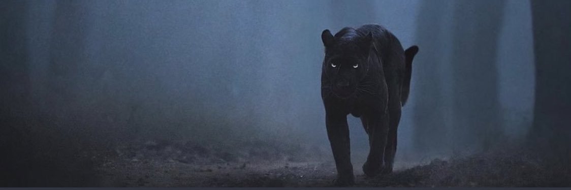 Ja’son Prevard Goldie banner