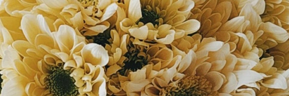 ValleeRodriguez's profile banner image