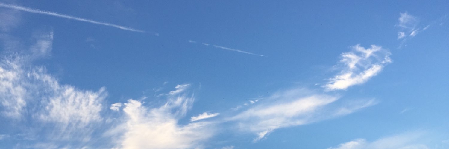 feelyuki's profile banner image