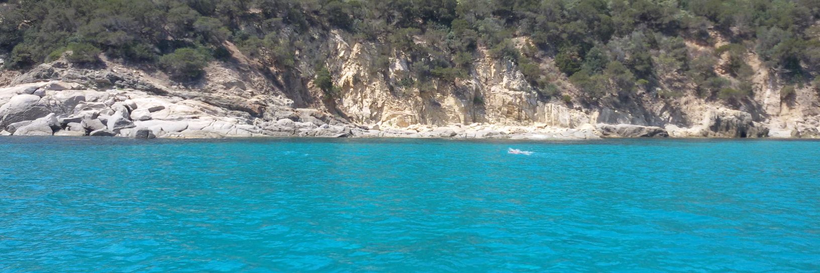 Susanna Giannelli banner