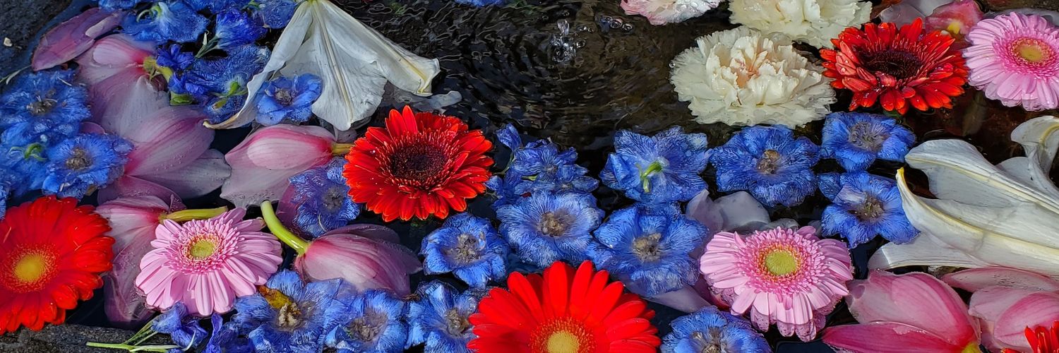 rn_rn_ringo's profile banner image
