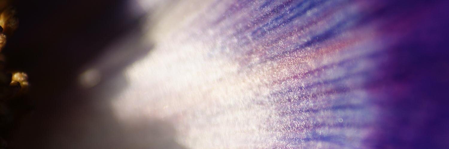 ManyColour's profile banner image