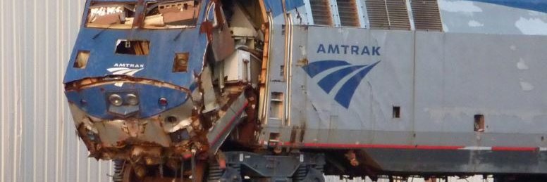 베트남 갑오징어 banner