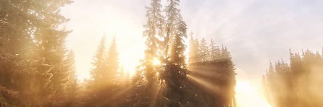 viewAndEnjoy1's profile banner image