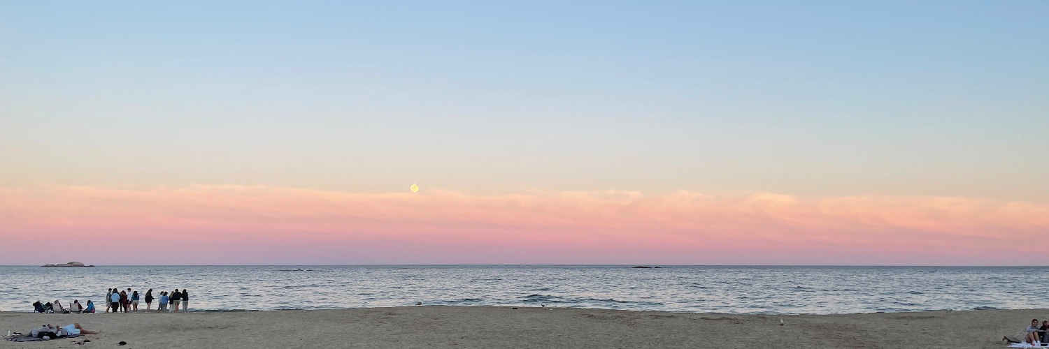 Rocco banner