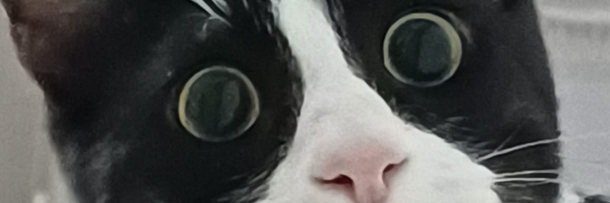 Ankra__li's profile banner image