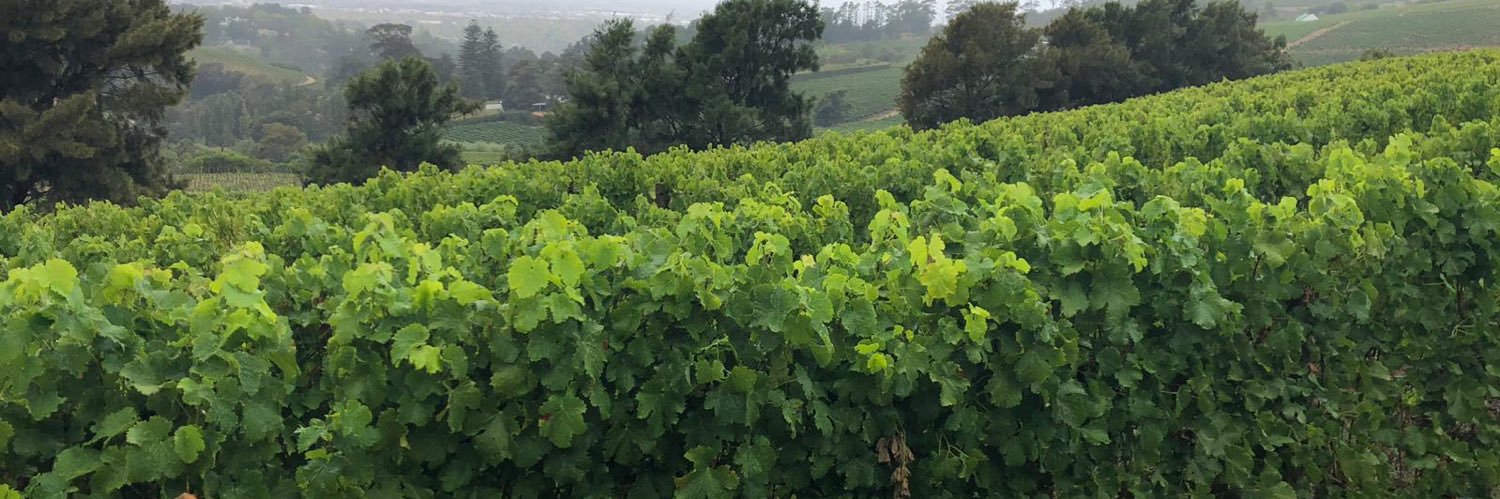 Cap Classique UK banner