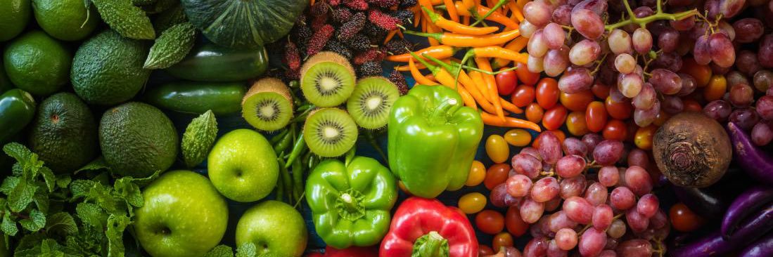 PICU NutriNet banner