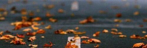 نـــاز '🦋 banner