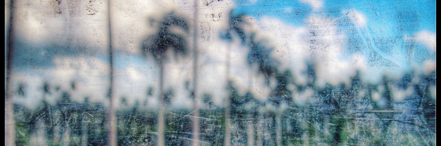 Mario Luis Reyes banner