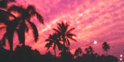 dreamtiru's profile banner image
