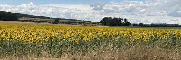 JonathanHFrost Profile Banner