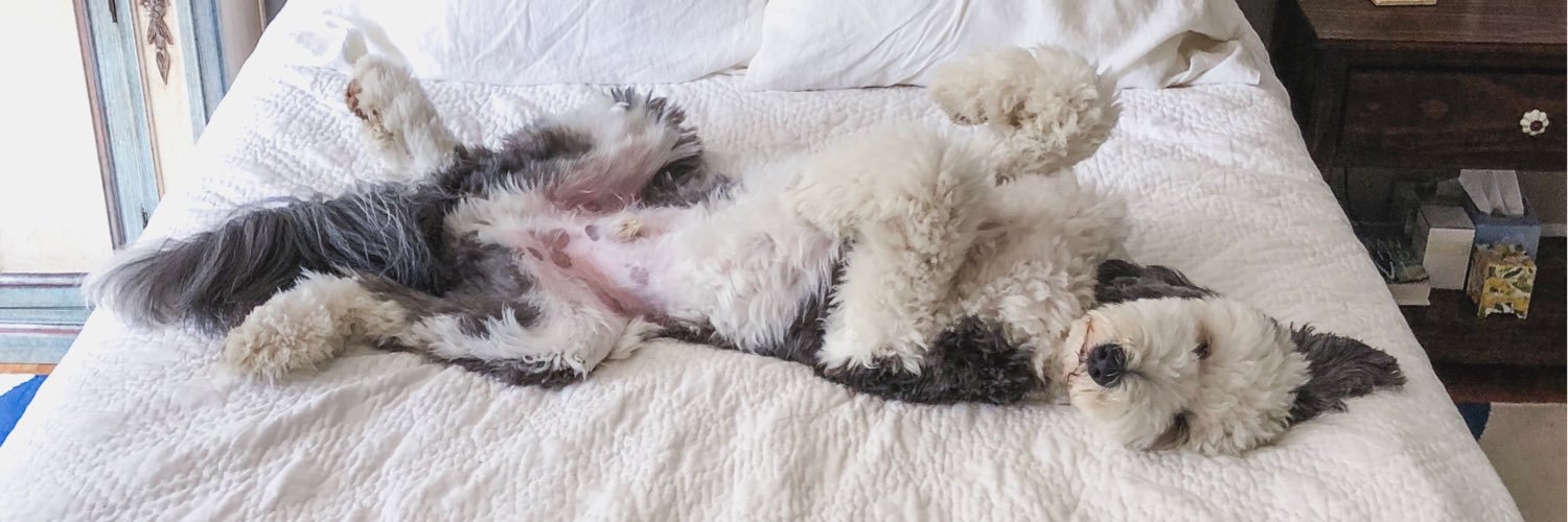 otis unleashed banner