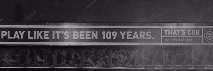 Tom Maier's banner