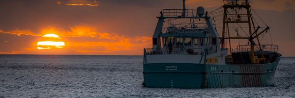 MSFOMA1 Profile Banner