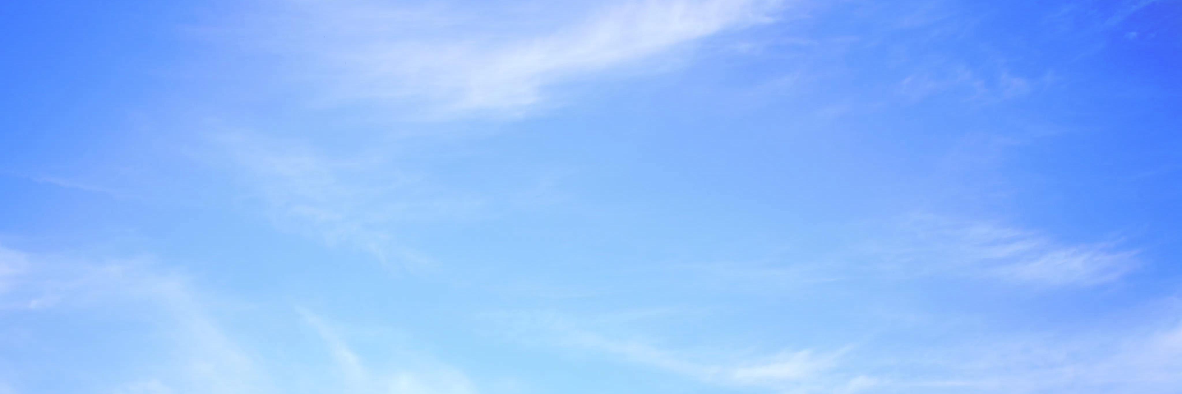 Reina Kingchester banner