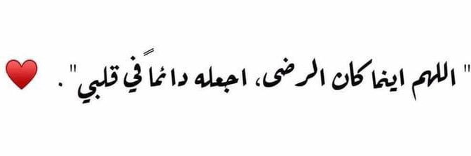 NohaShiekh's profile banner image