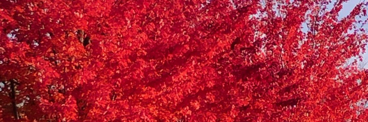 joanlmailing's profile banner image