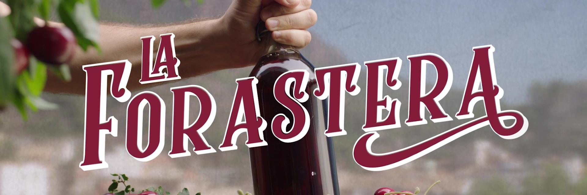 La Forastera banner