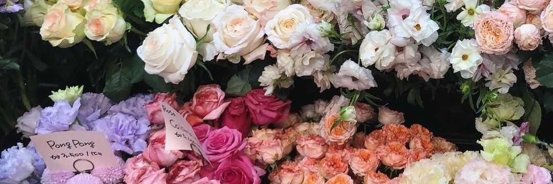 lloveryou_'s profile banner image