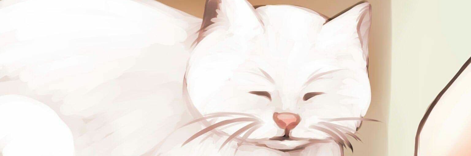 Linen_SCL's profile banner image