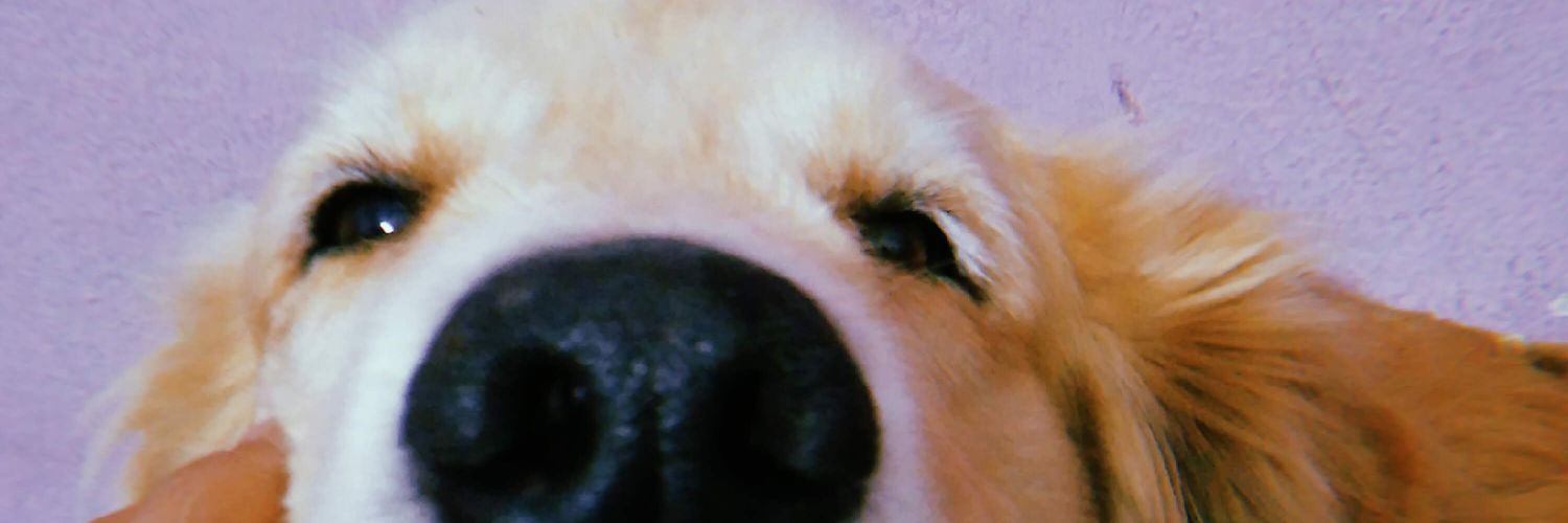 AriMedina22's profile banner image