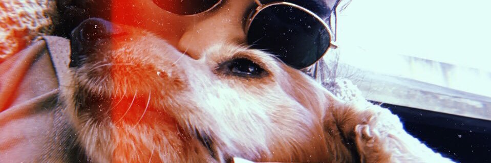 claaluma's profile banner image