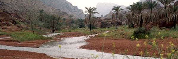 AZiZ_A's profile banner image