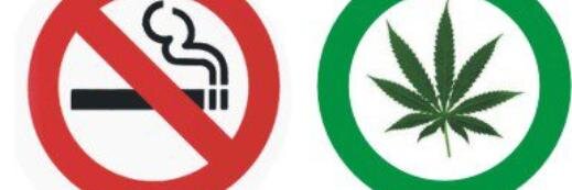 CannabisPy's profile banner image