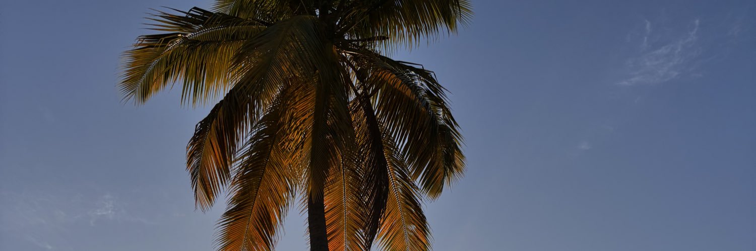 PATATEdouceeee's profile banner image