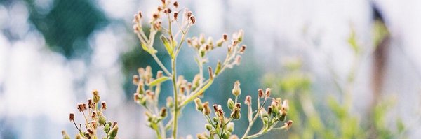 bkph8 Profile Banner