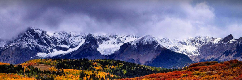 Chris Tyler banner