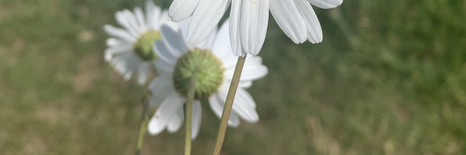 emmalou_7's profile banner image