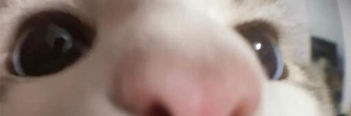 krinyols's profile banner image