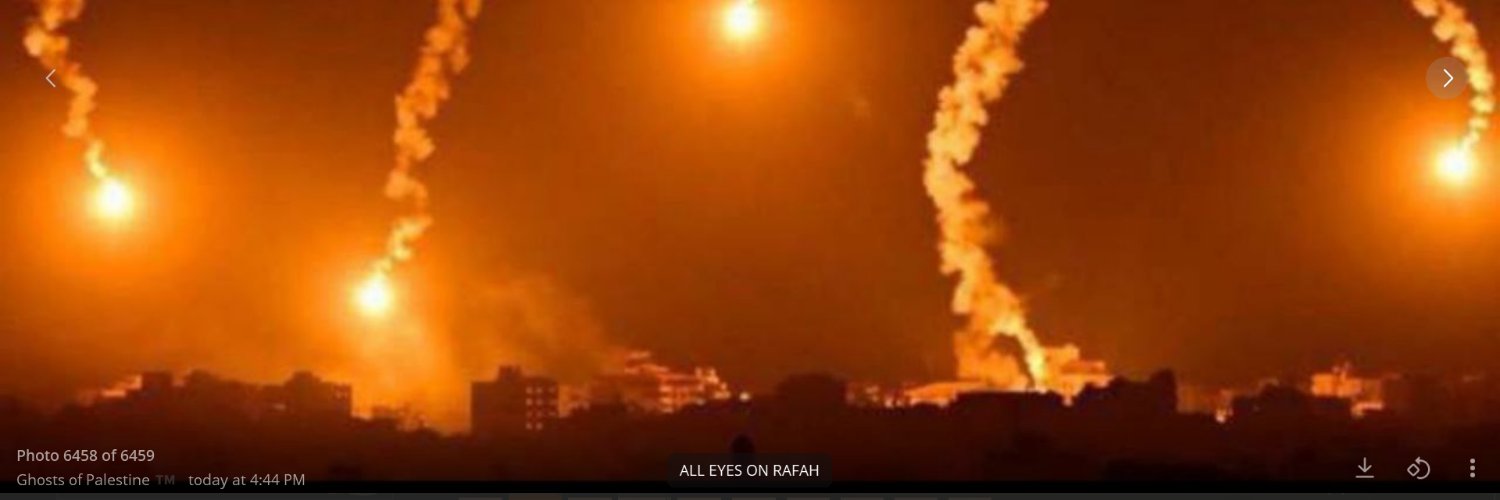 Kaly ~ #SaveGaza 🇵🇸 #OpStopFascism #RiseUp 🇺🇸's banner