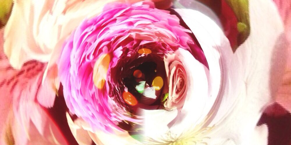 sakura_9_5's profile banner image