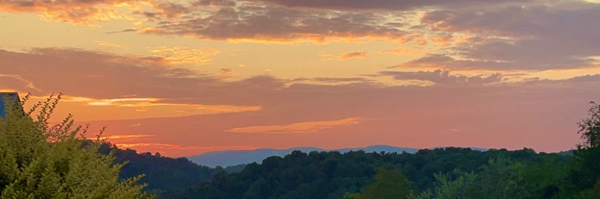 MillerLibrarian's profile banner image