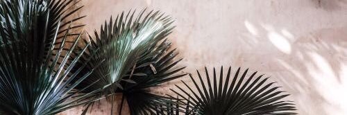MehganRose's profile banner image