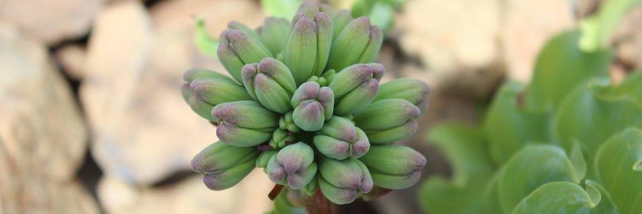 Pablo Geraldo B. banner