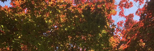 micro_MelBruno Profile Banner