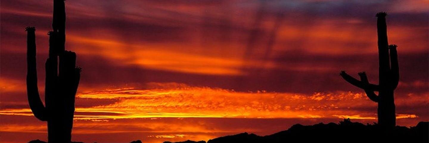 MistySunrise's profile banner image