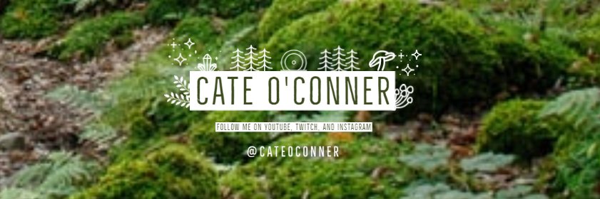 CateOConner's profile banner image