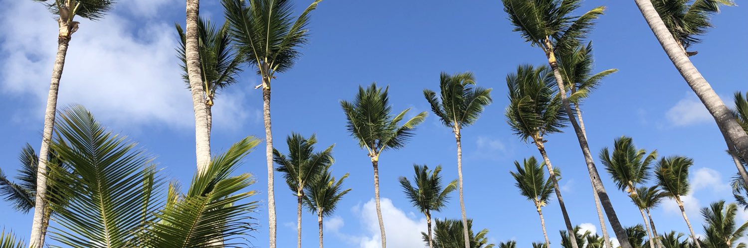 xox_emi's profile banner image